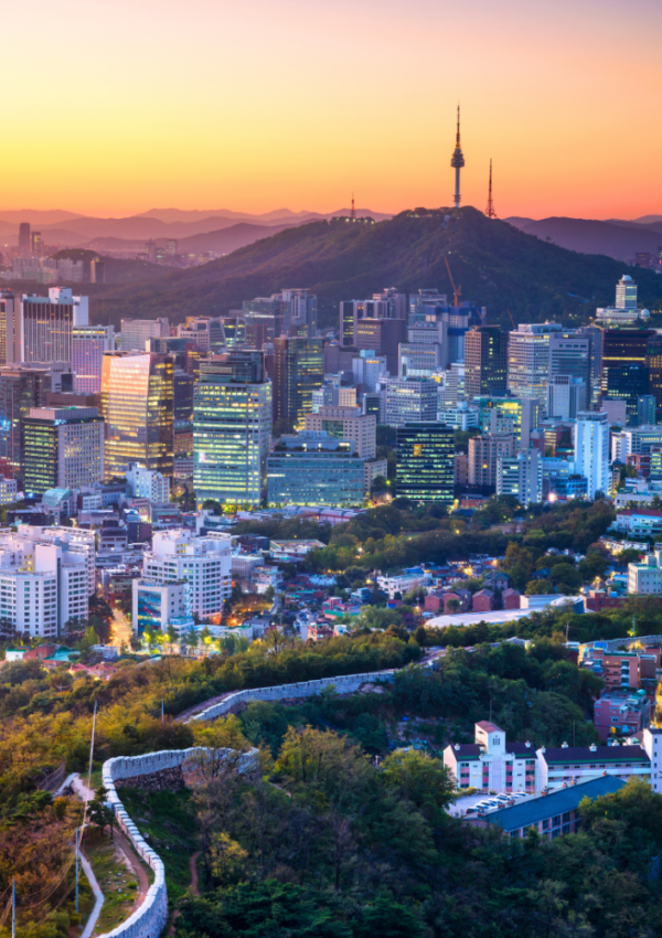 Top 10 Things To Do As A Solo Traveler In Seoul